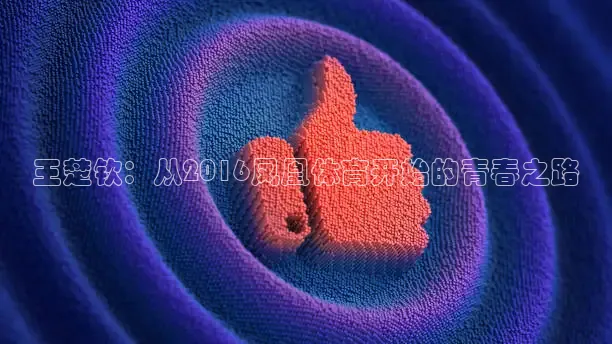 蜘蛛体育直播小狐狸